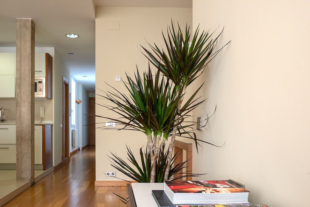 "Singular" appartement